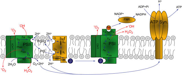 Figure 1.