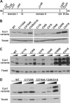 FIGURE 1: