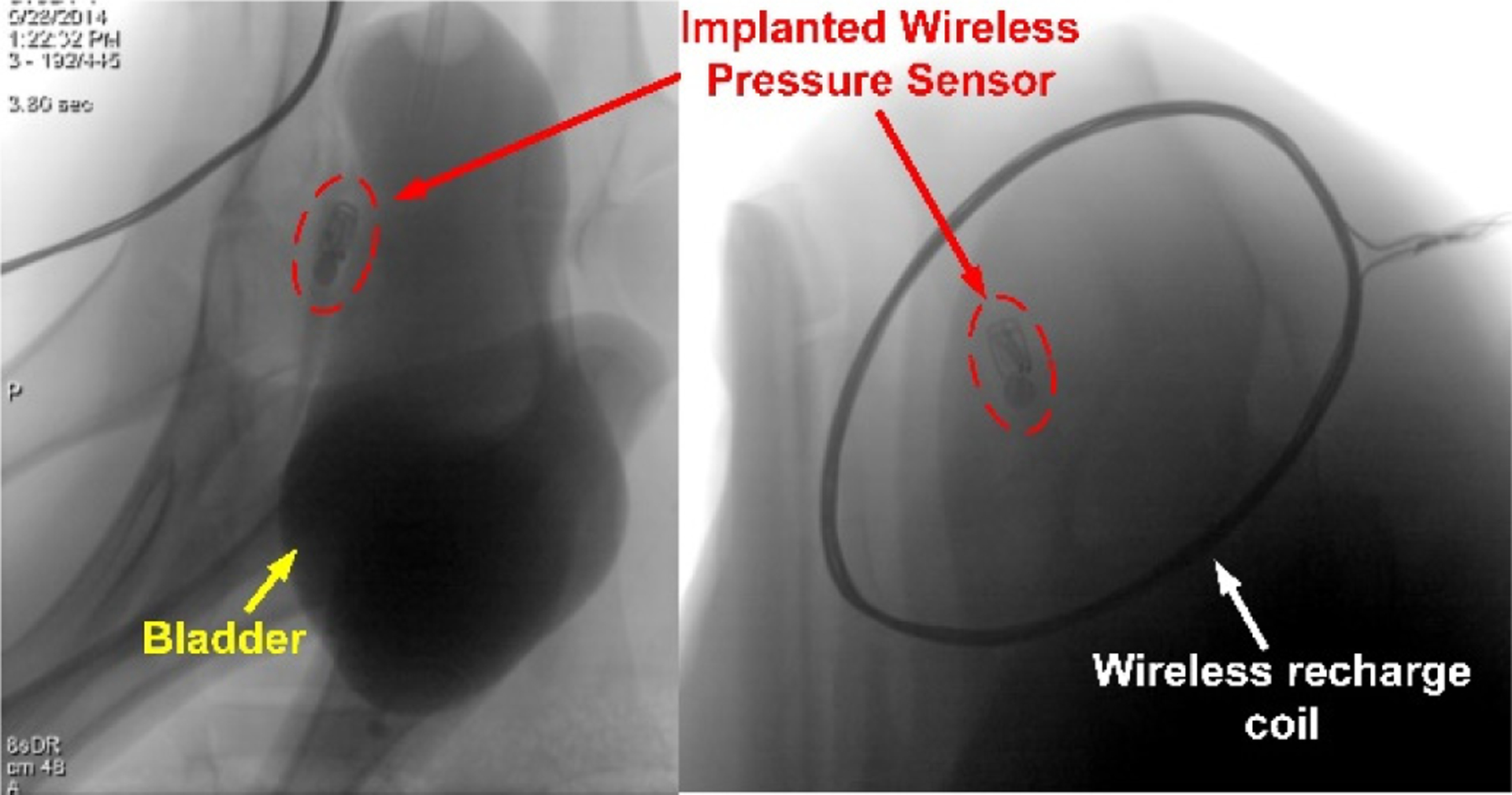 Fig. 6.