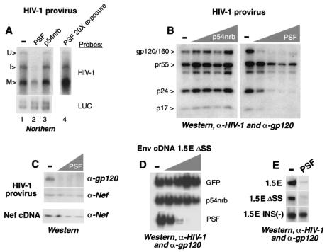 FIG. 5.