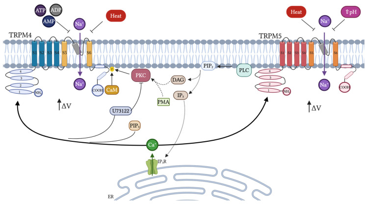 Figure 4