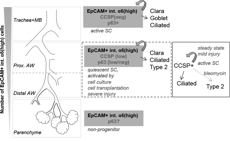 FIG. 6.