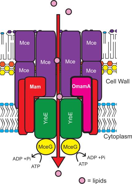 Figure 9