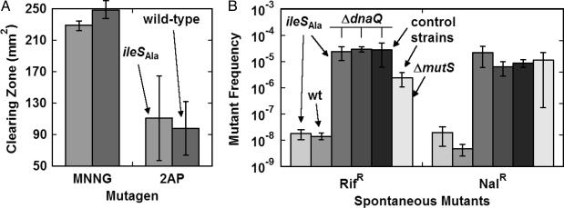 Fig. 4.