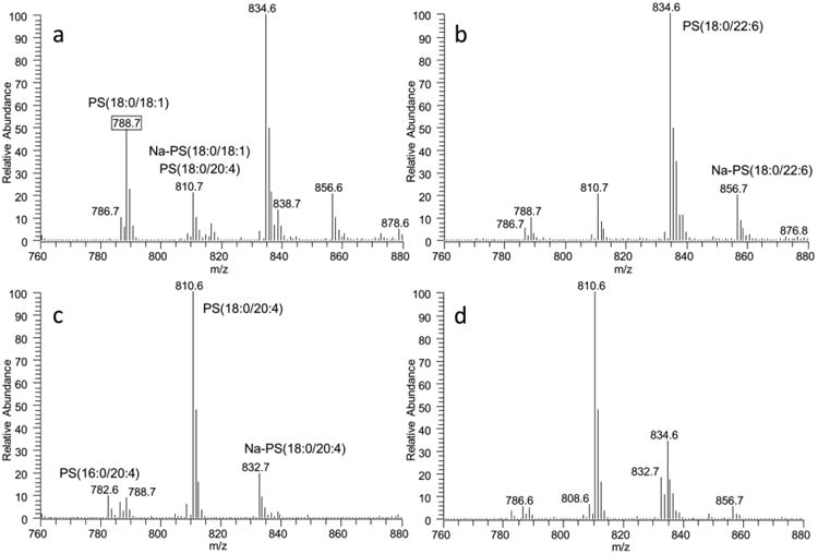 Fig. 7