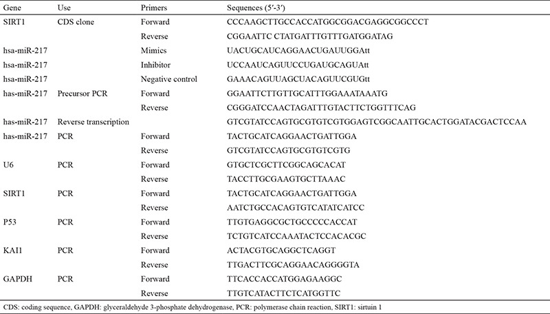 graphic file with name BMJ-37-208-g1.jpg