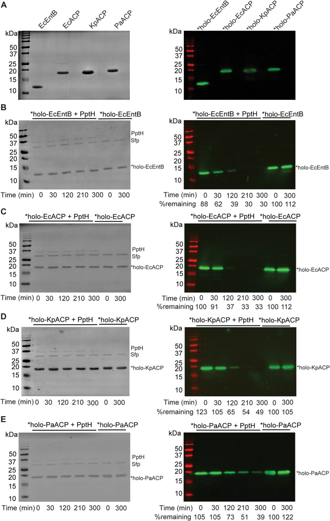 FIG 3
