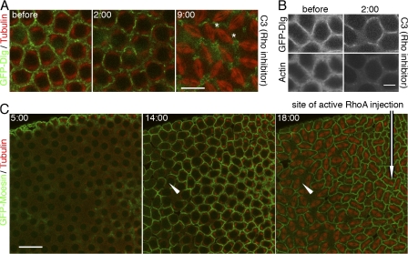 Figure 6.