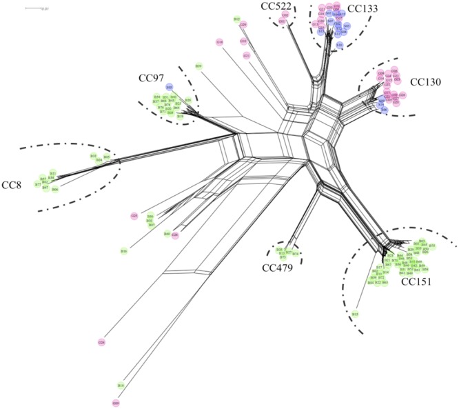 FIGURE 2