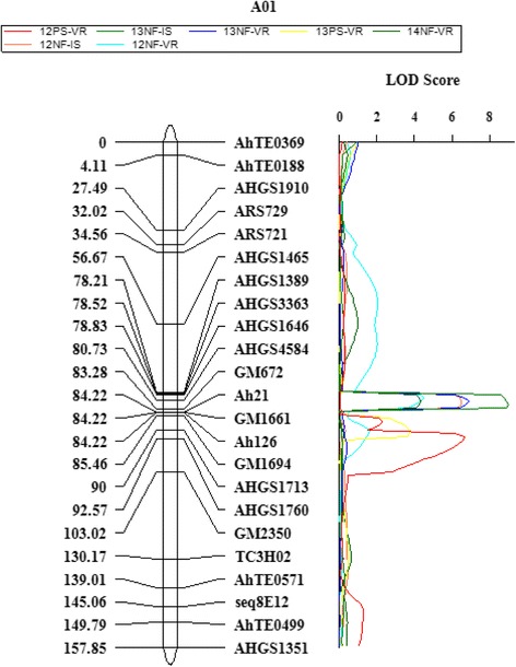 Fig. 5