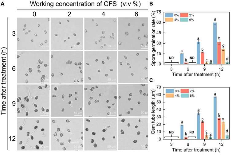 FIGURE 3