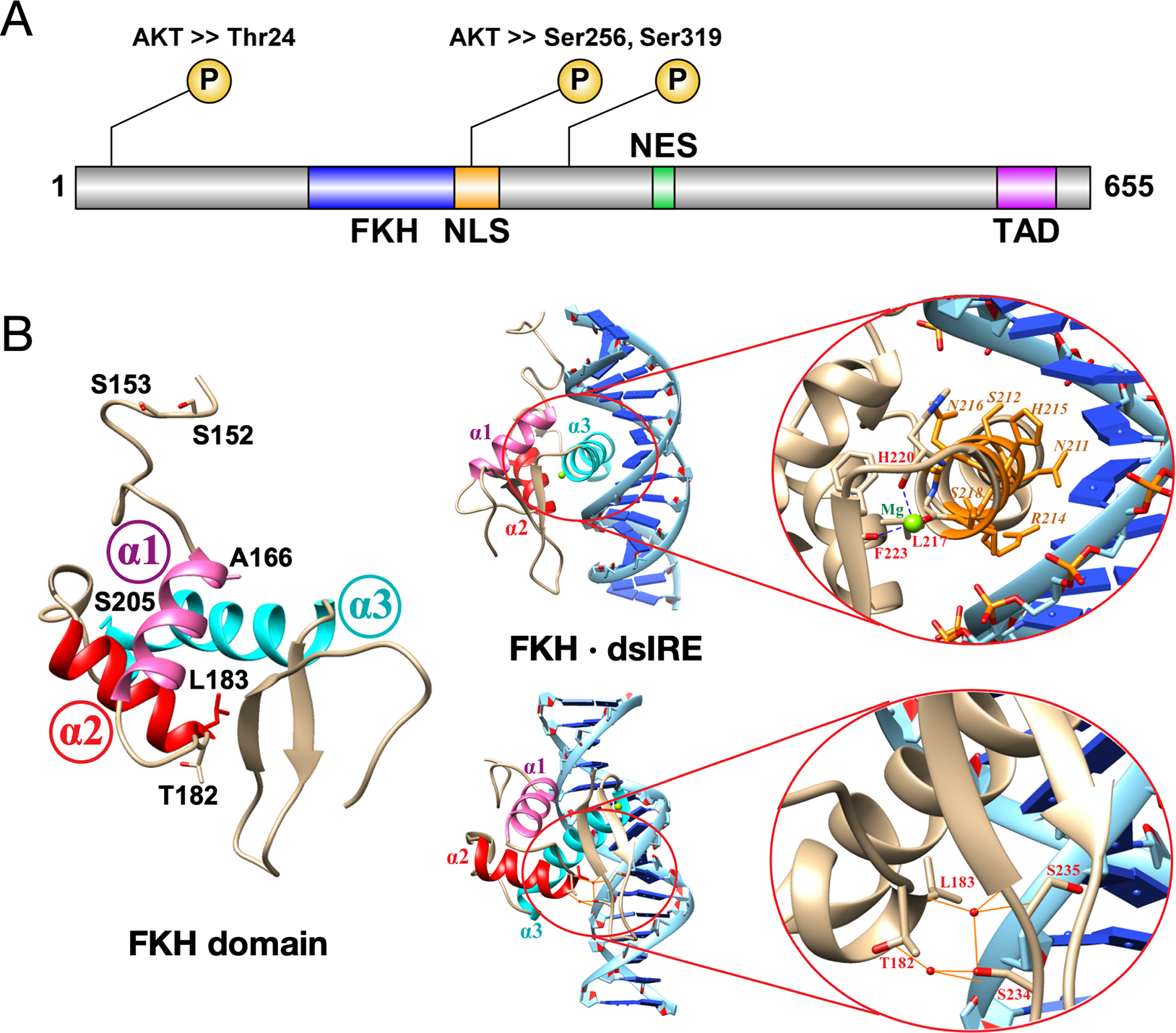 Figure 1.