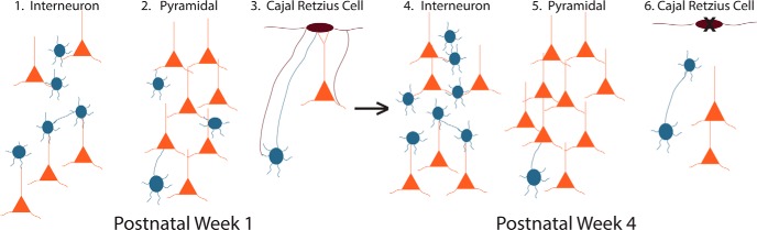 Figure 9.