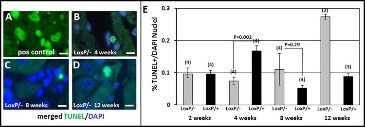 Fig 7