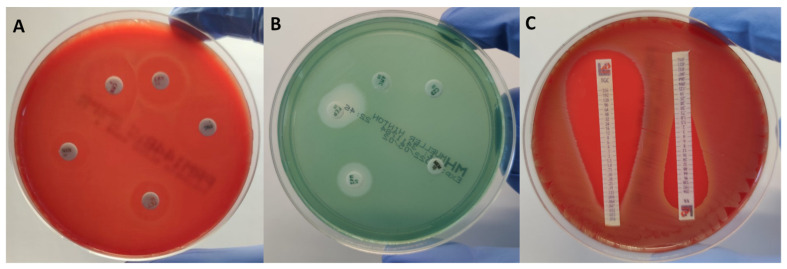 Figure 2