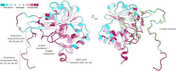 Figure 7