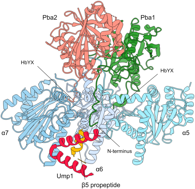 Figure 1