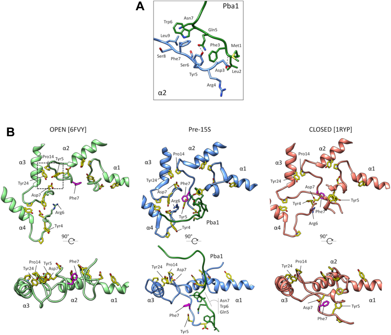 Figure 5