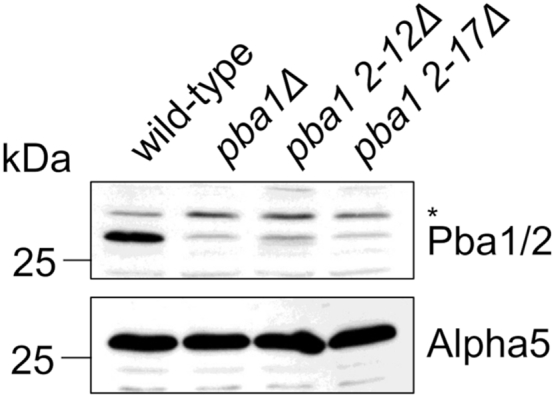 Figure 6