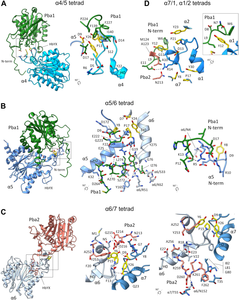 Figure 3