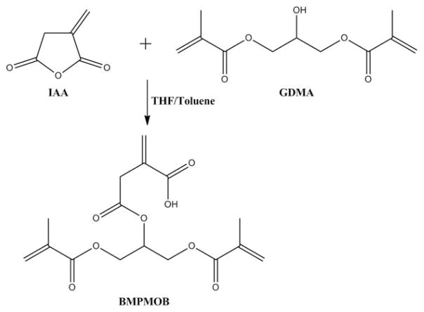 FIGURE 1