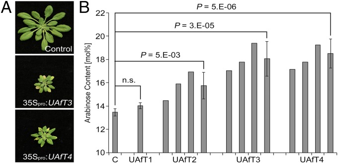 Fig. 3.