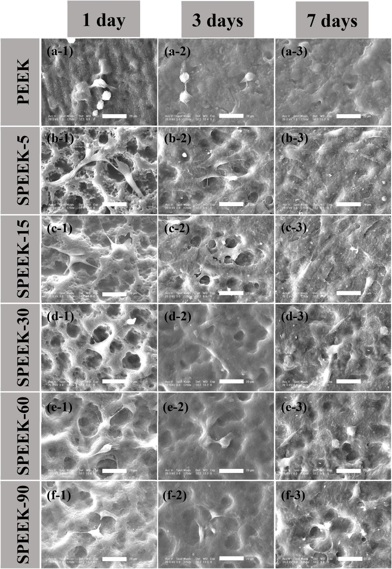 Fig. 11