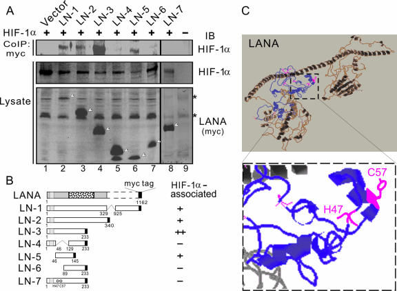 FIG. 8.