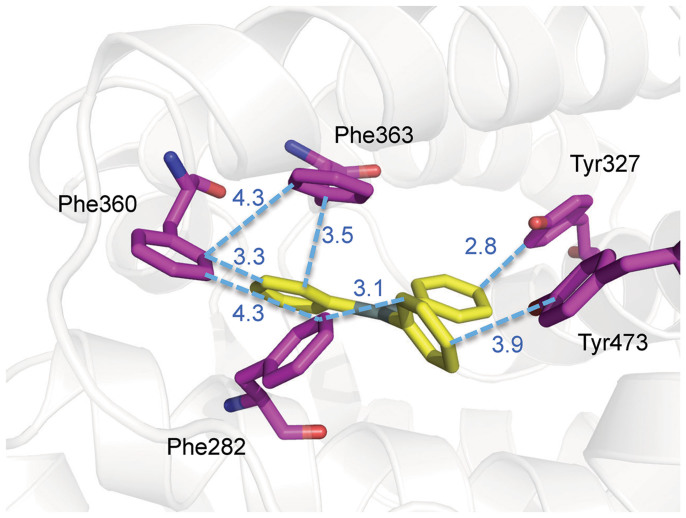 Figure 6