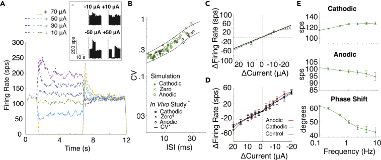 Figure 6