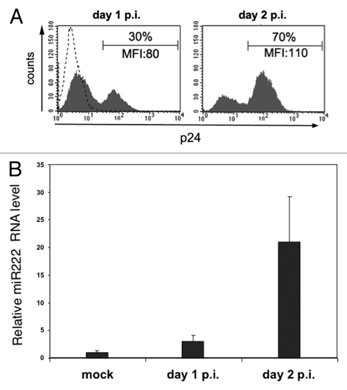 graphic file with name rna-11-334-g1.jpg