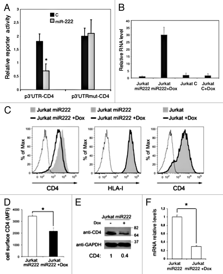 graphic file with name rna-11-334-g3.jpg