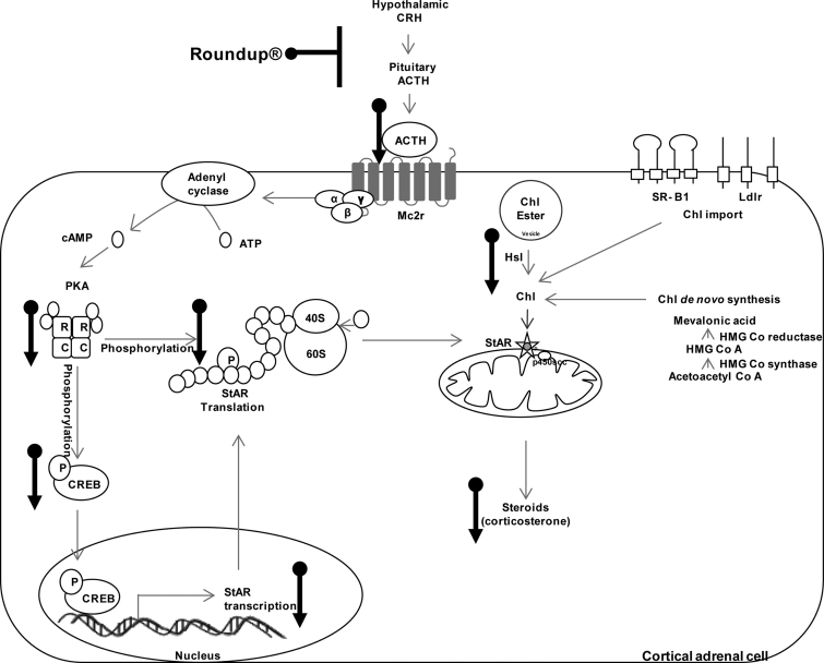 Fig. 10