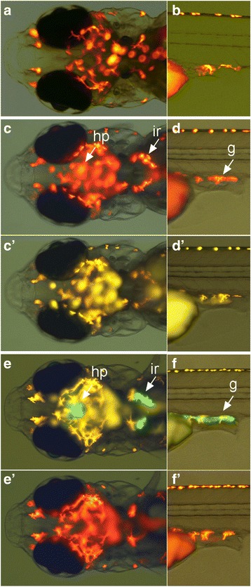 Fig. 3