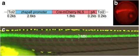 Fig. 2