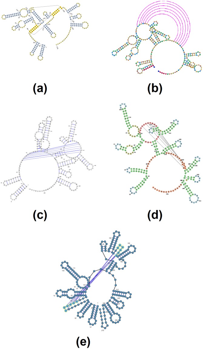 Fig 6