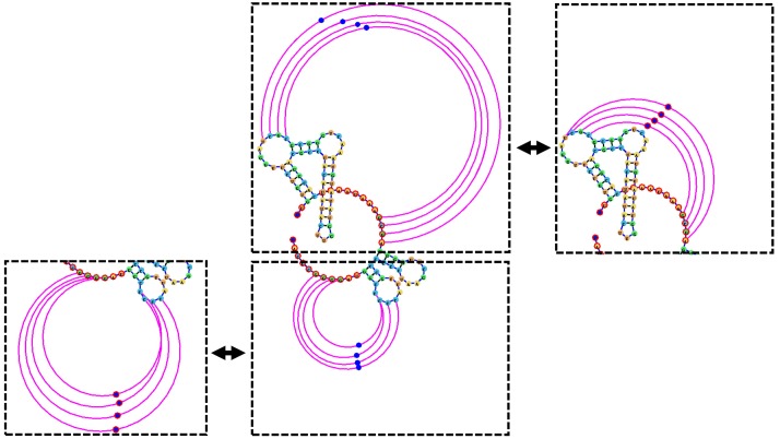 Fig 3