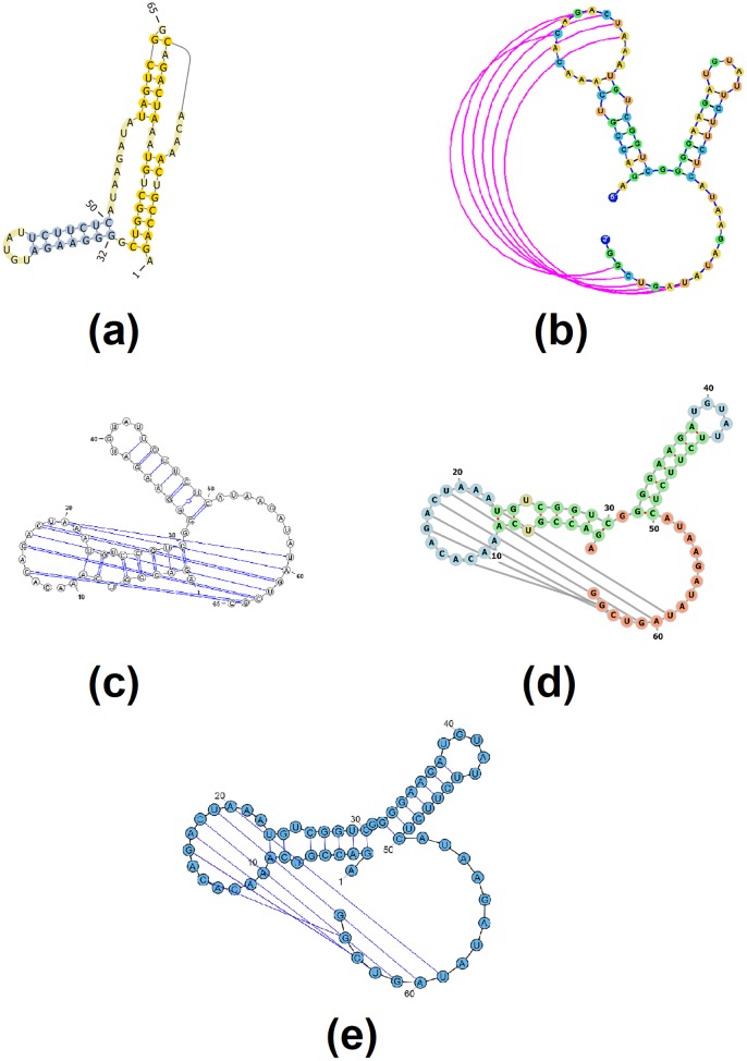 Fig 5