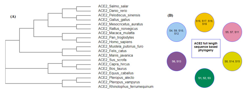 Figure 16