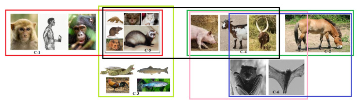 Figure 13