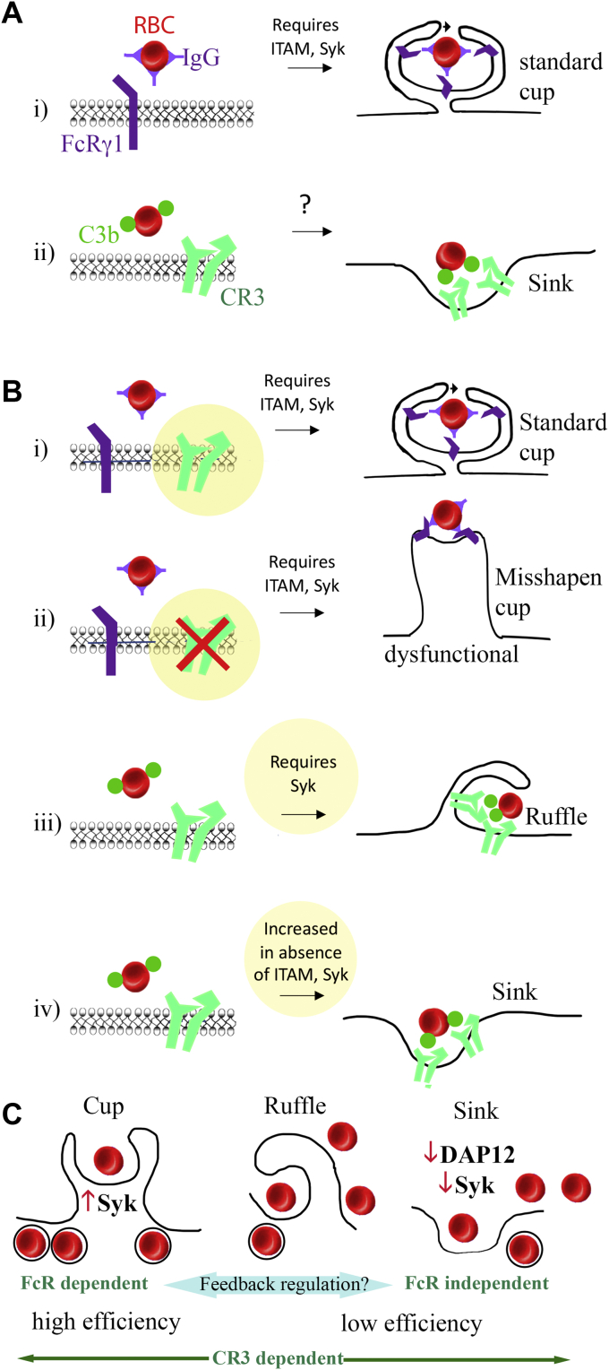 Figure 1