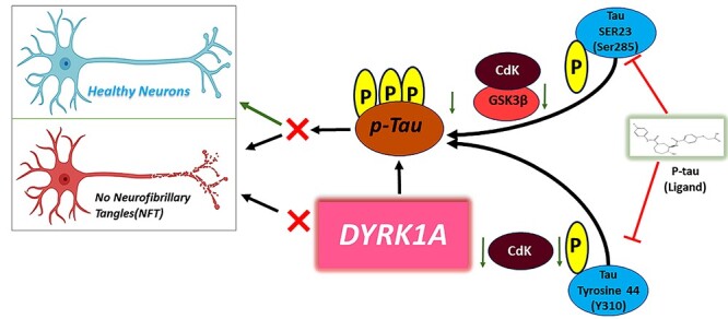 Graphical Abstract