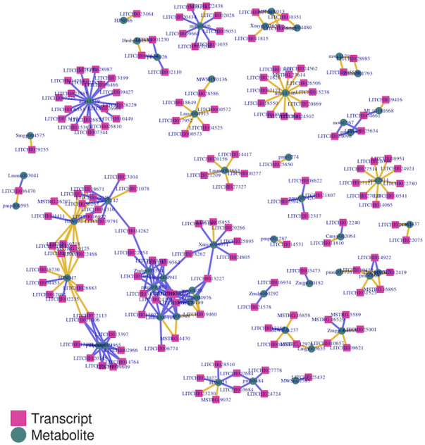 FIGURE 10