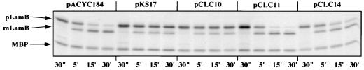 FIG. 7
