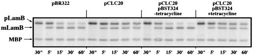 FIG. 8