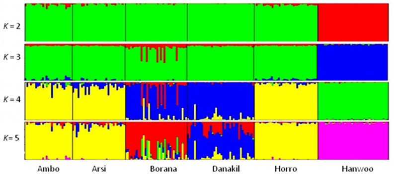 FIGURE 4