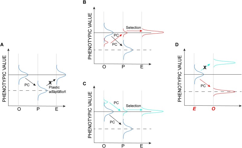 Fig. 6.