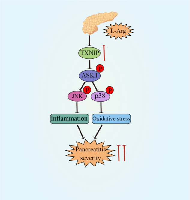 Fig. 11