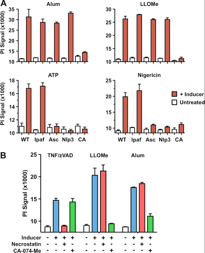 FIGURE 2.