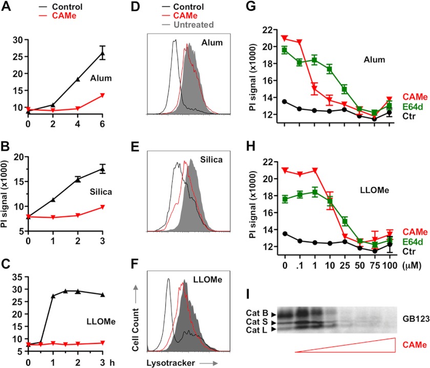 FIGURE 1.